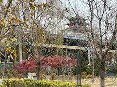 -莲花池公园