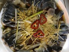 -煲来饱去冷水鱼