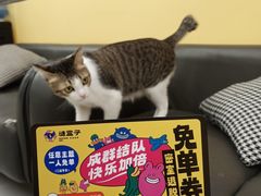 -谜盒子奇幻密室(南屏店)