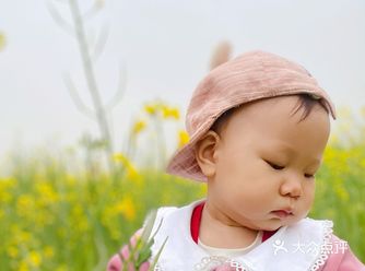️景点玩法：很合开车去，一定要穿上美美的仙女裙