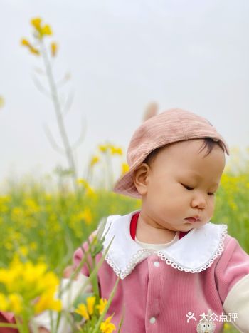 ️景点玩法：很合开车去，一定要穿上美美的仙女裙