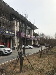 -紫琪尔·胸部养护护理