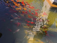 -南诏风情岛