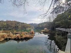 -潜山国家森林公园