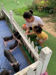 点击看大图 -萌宠亲子动物乐园(槐房万达店)