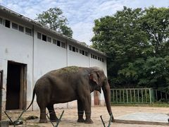 -合肥野生动物园