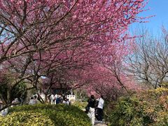 -杭州半山国家森林公园