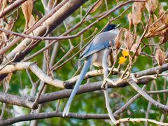 -苏州河梦清园环保主题公园