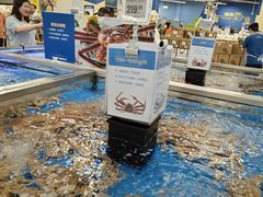 -盒马X会员店(上海森兰商都店)
