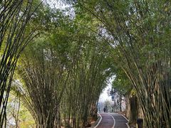 -贵阳市花溪国家城市湿地公园