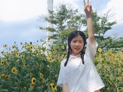 -二沙岛艺术公园