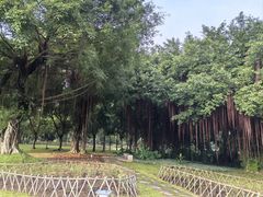 -南宁南湖公园