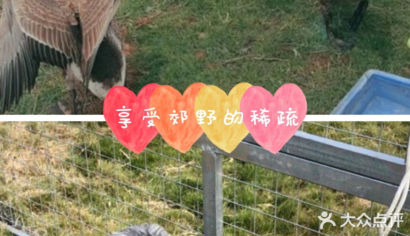 夏日遛娃丨远离喧嚣的人群，享受郊野的稀疏