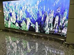-张家界荷花国际机场