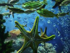 -海合安成都极地海洋公园
