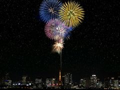 -嘉百乐超市(新东街店)