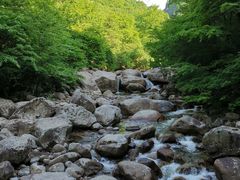 -青峰峡国家森林公园