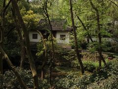 -虎跑公园