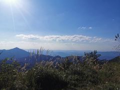 -武陵山森林公园