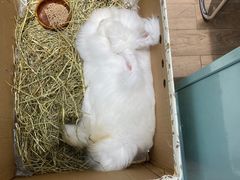 -海珠新都荟城光荟(海珠店)