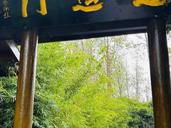 -合肥滨湖国家森林公园