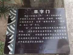 -广州神农草堂中医药博物馆