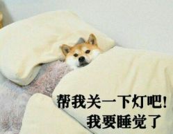 -梵梦影像馆(绿博园店)