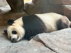 -宁波野生动物园