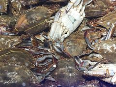 -欢乐牧场海鲜烤肉自助(牡丹园店)