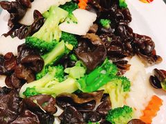 -添福来墨鱼饺子 · 海鲜东北菜(泡崖店)