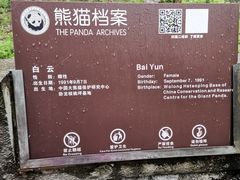 -都江堰中华大熊猫苑