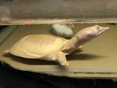 -上海大自然野生昆虫馆