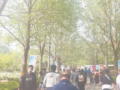 -朝阳公园游乐园