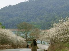 -广州市流溪河国家森林公园