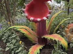 -沈阳植物园