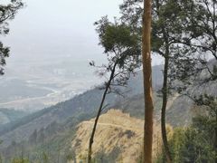 -缙云山景区