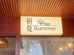 -树夏Tree Summer