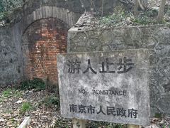 -紫金山山顶公园