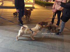 -中海环宇荟