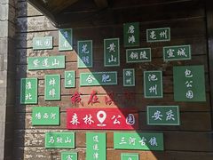 -合肥滨湖国家森林公园