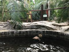 -龙达温泉生态城