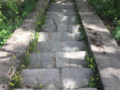 -白水寺森林公园