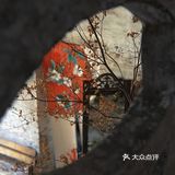 打卡|石碣水南旧屋改造小店