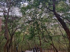 -紫金山山顶公园