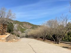 -北京西山国家森林公园