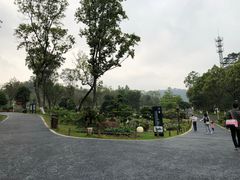 -东莞植物园