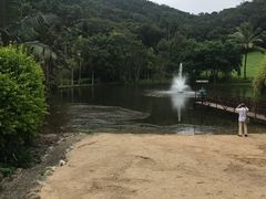 -热带雨林自然公园