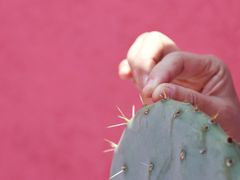 -漳州滨海火山岛自然生态风景区