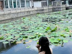 -明翠湖品·湖景餐厅