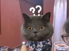 -伽利略剧本探案馆(国贸店)